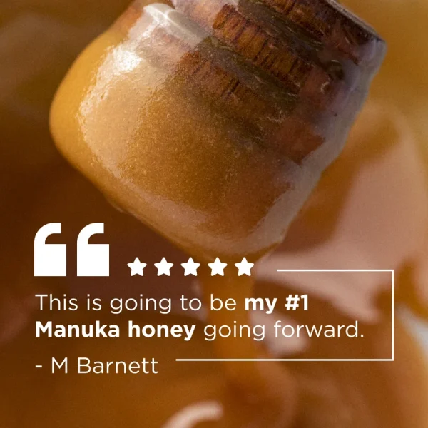 Mật Ong Manuka Đa Hoa MGO 40+ (500g)