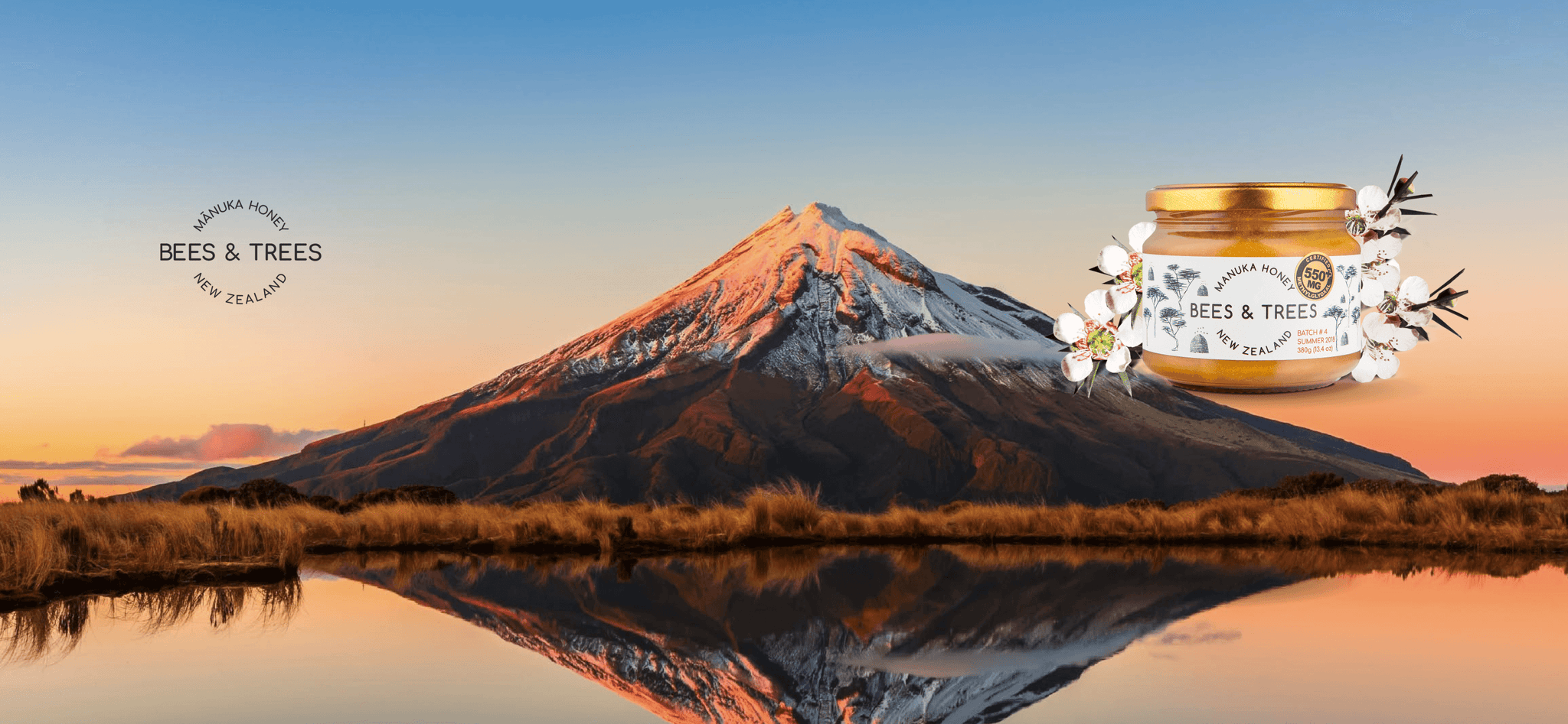 Tìm hiểu về Flavonoids & Polyphenols trong Mật Ong Manuka