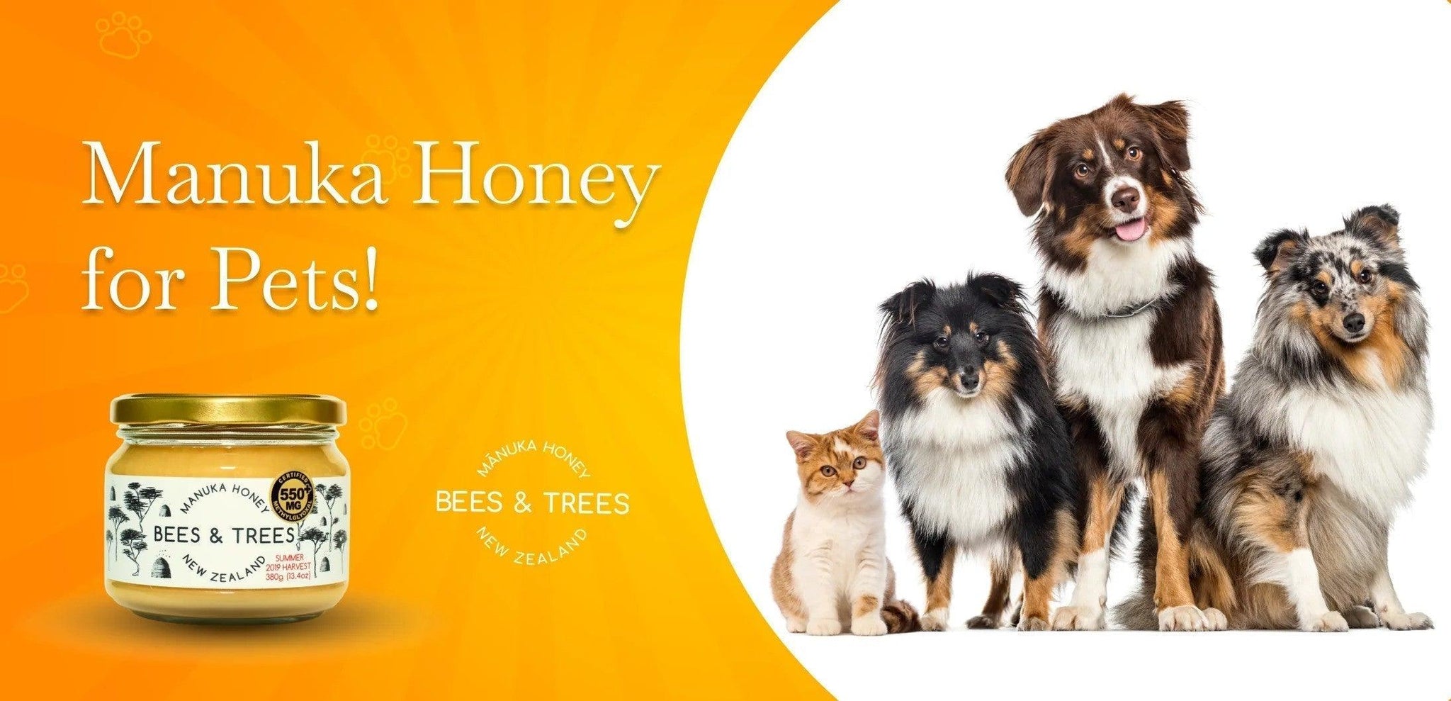 Mật Ong Manuka Cho Pet!