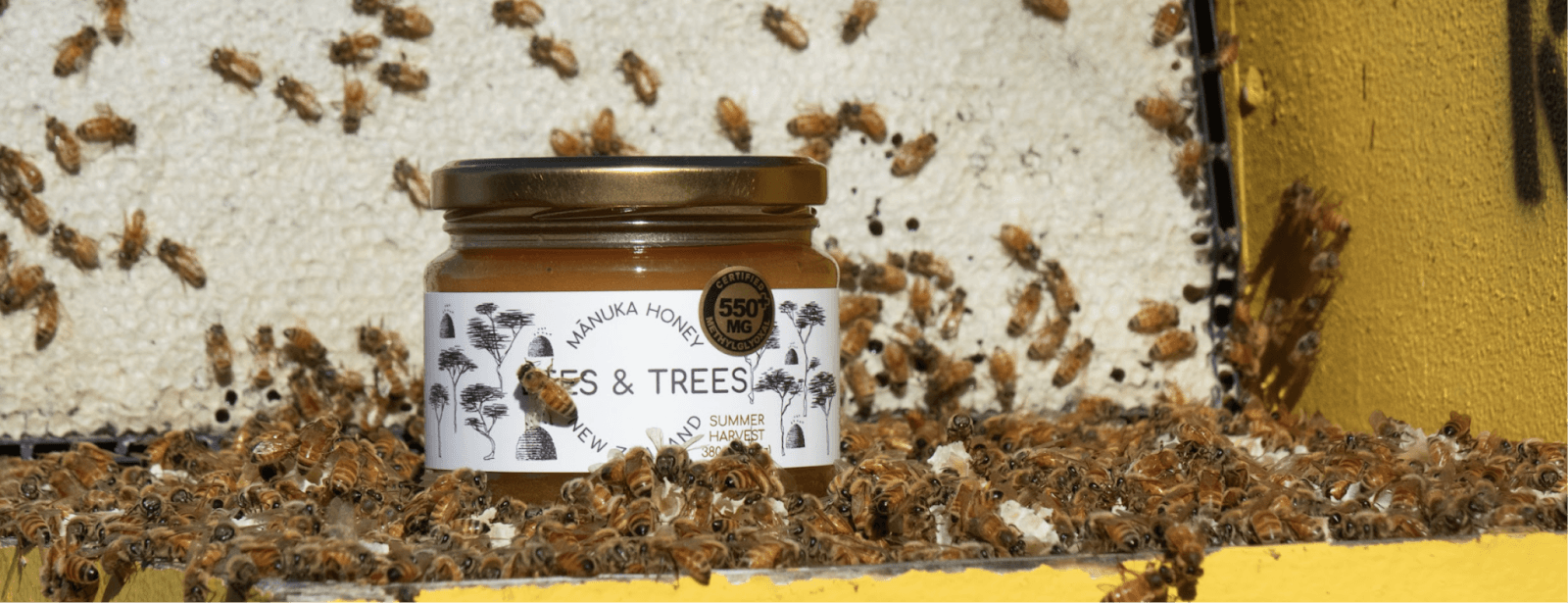 Mật Ong Manuka: Lựa Chọn Tốt NhấtCho Sức Khỏe và Sắc Đẹp